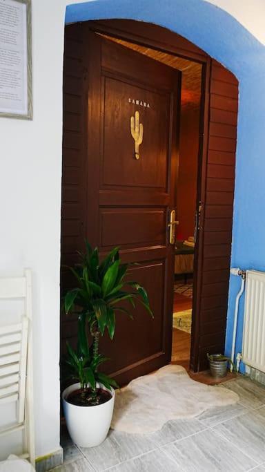 Sahara Studio With Shared Bathroom In City Centre 브라티슬라바 외부 사진